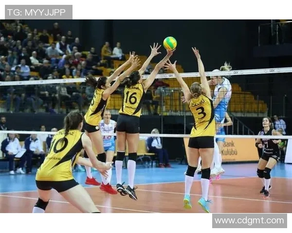 武汉排球队技术表现深度分析与数据解读探讨