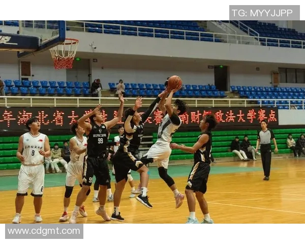 武汉篮球队荣登篮球节奏排行榜第九名展现实力与潜力