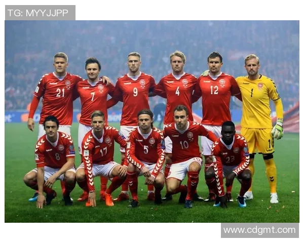 瑞士足球明星盘点谁是绿茵场上的闪耀之星