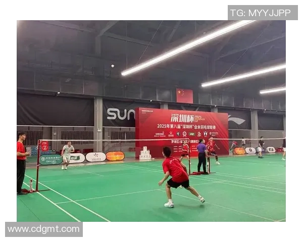 羽毛球意识排行榜发布深圳羽毛球队荣登第十位引发关注